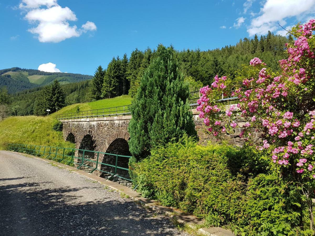 Vermietung Ronner Vordernberg Exteriér fotografie